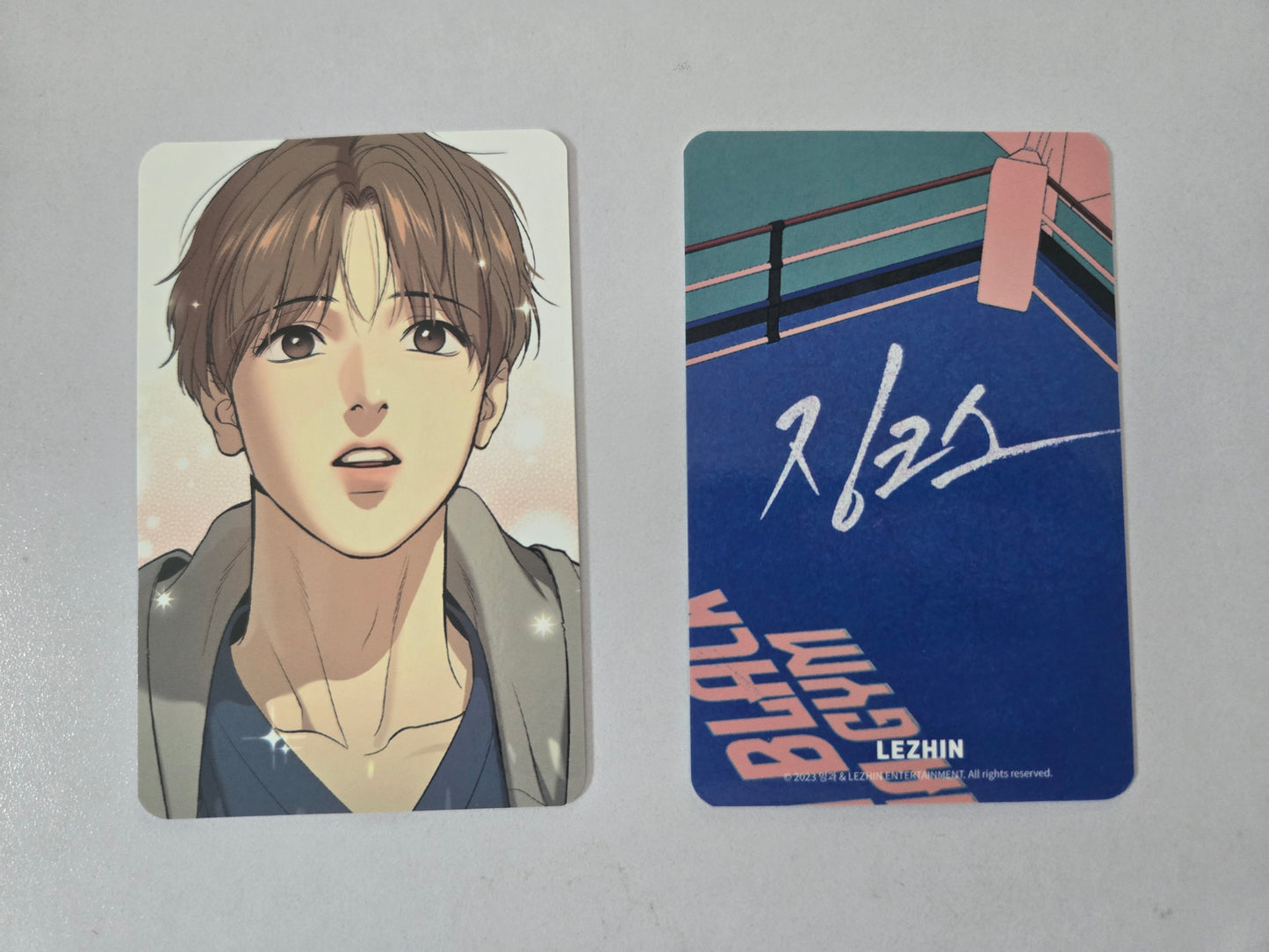 Jinx Collection Photocards Version 1 [EINZELN]