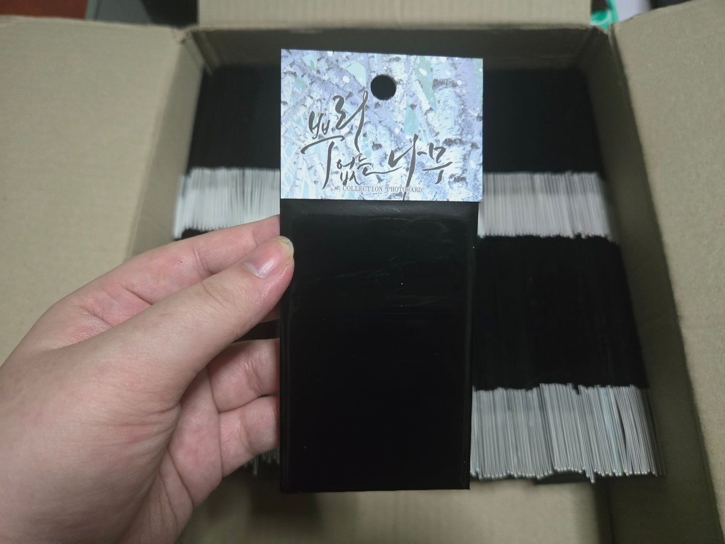 [MUTIPLE SERIES] LEZHIN COLLECTION PHOTO CARDS