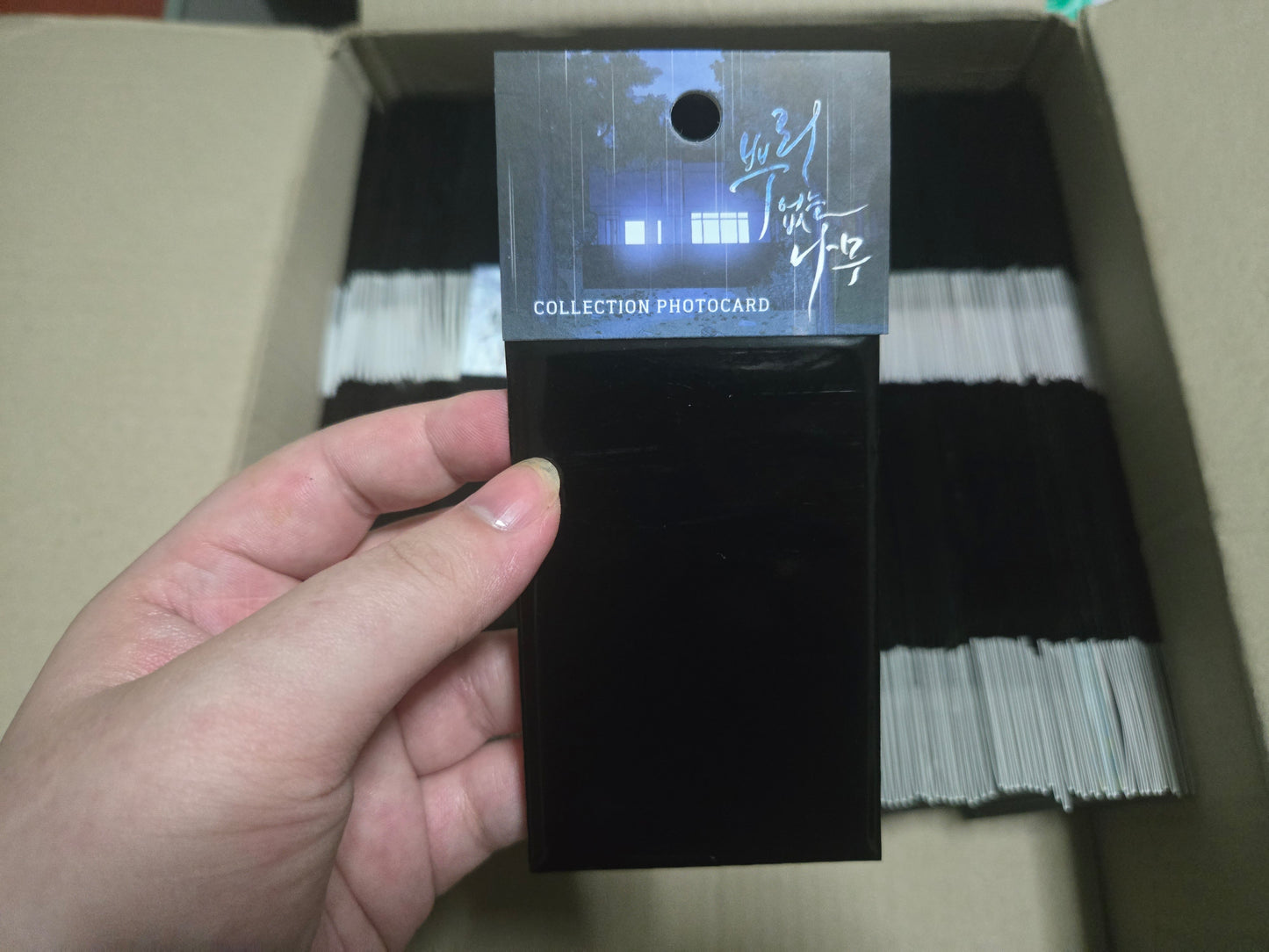 [MUTIPLE SERIES] LEZHIN COLLECTION PHOTO CARDS