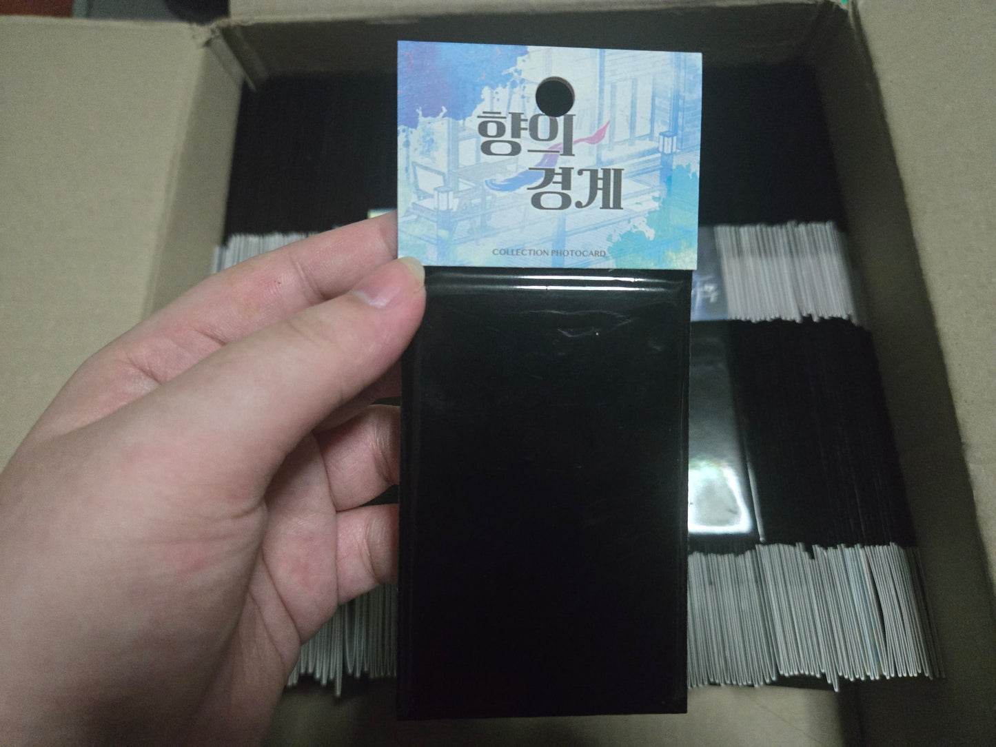 [MUTIPLE SERIES] LEZHIN COLLECTION PHOTO CARDS