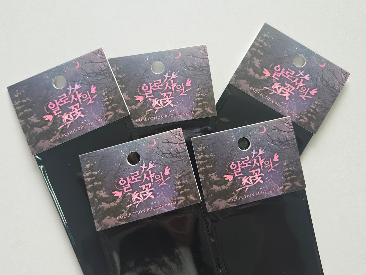 The Search For Alosha PHOTOCARD Random Pack
