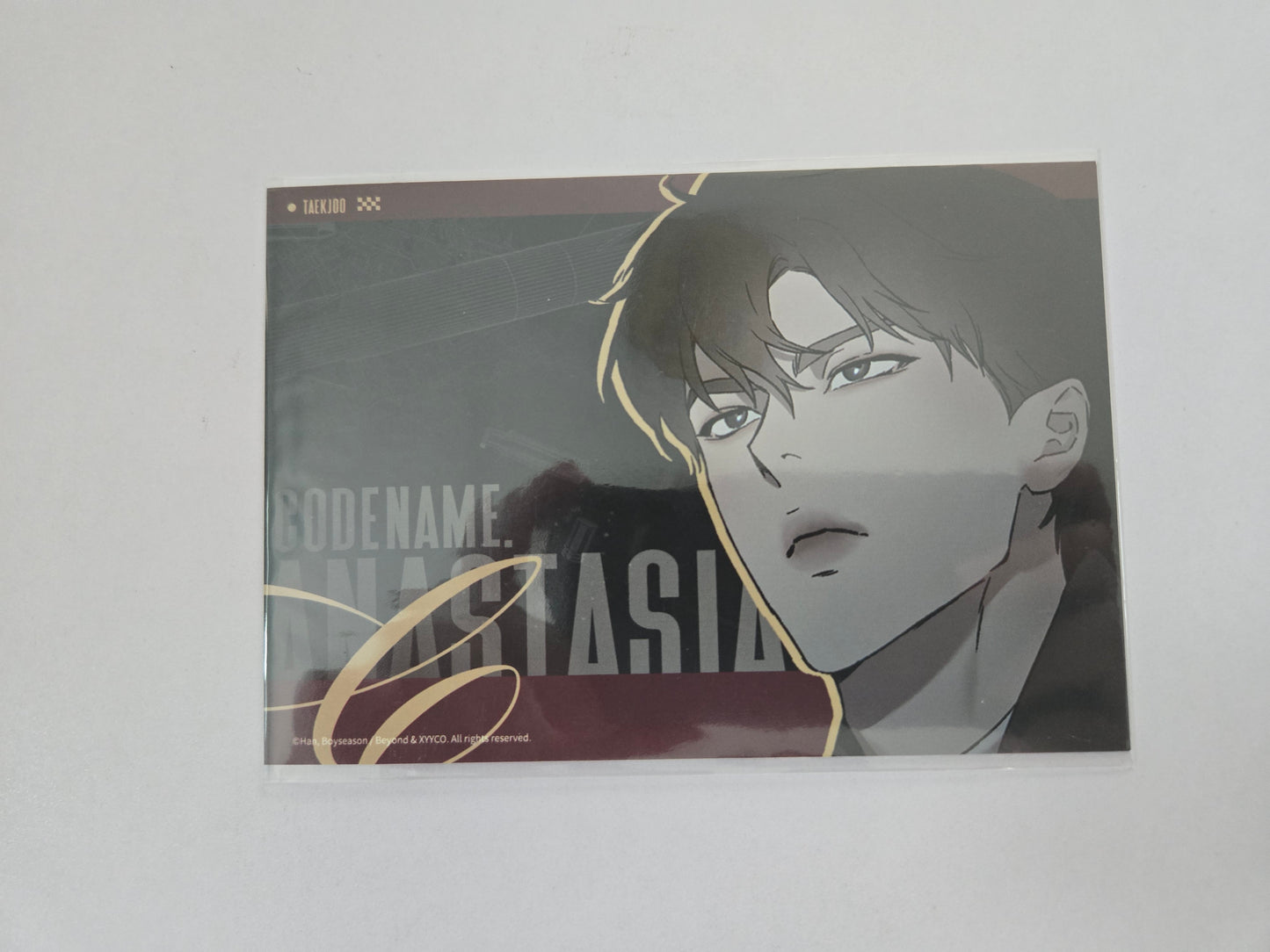 Codename anastasia text postcard gray background
